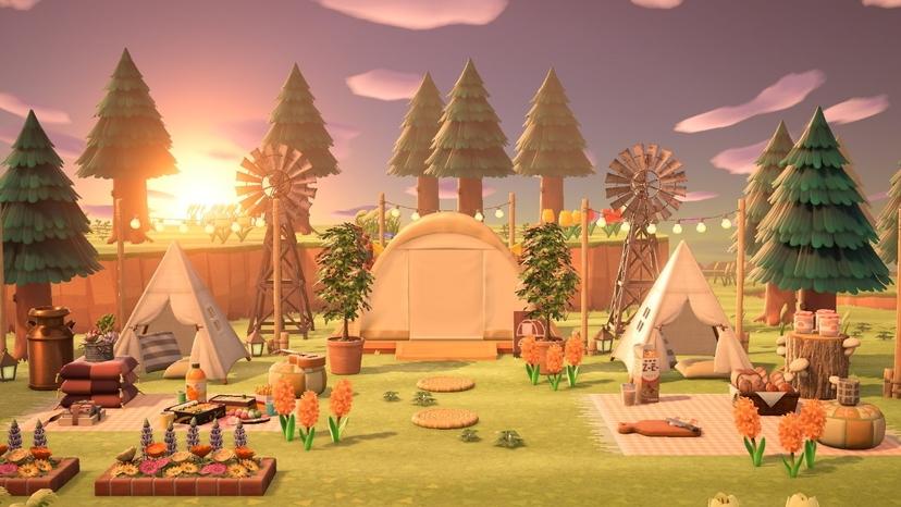 Animal Crossing Campsite Collection