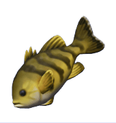 Animal Crossing Bass