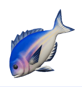 Animal Crossing Bream