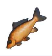 Animal Crossing Carp