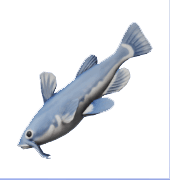 Animal Crossing Catfish