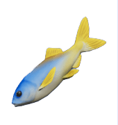 Animal Crossing Herring