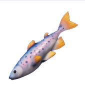 Animal Crossing Rainbow Trout