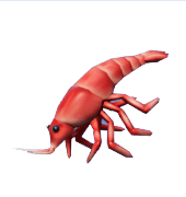 Animal Crossing Shrimp