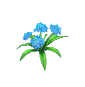 Animal Crossing Blue Hydrangea