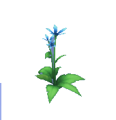 Animal Crossing Blue Star Lily