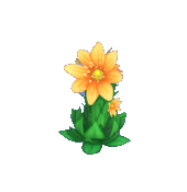 Animal Crossing Orange Houseleek