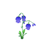 Animal Crossing Purple Bell Flower