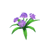 Animal Crossing Purple Hydrangea