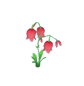 Animal Crossing Red Bell Flower