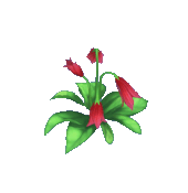 Animal Crossing Red Falling Penstemon