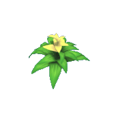 Animal Crossing Yellow Bromeliad