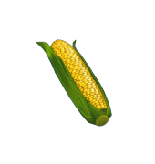 Animal Crossing Corn