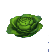 Animal Crossing Lettuce