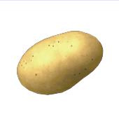 Animal Crossing Potato