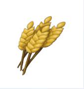 Animal Crossing Wheat