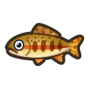 Animal Crossing golden trout
