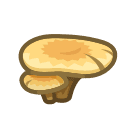 Animal Crossing flat mushroom