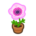 Animal Crossing pink-windflower plant