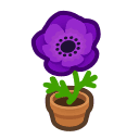 Animal Crossing purple-windflower plant