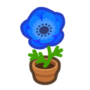 Animal Crossing blue-windflower plant