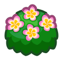 Animal Crossing pink-plumeria bush