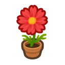 Animal Crossing red-cosmos plant