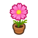 Animal Crossing pink-cosmos plant