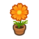 Animal Crossing orange-cosmos plant