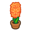 Animal Crossing orange-hyacinth plant