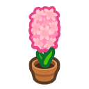 Animal Crossing pink-hyacinth plant