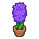Animal Crossing purple-hyacinth plant