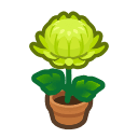Animal Crossing green-mum plant