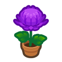 Animal Crossing purple-mum plant
