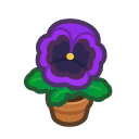Animal Crossing purple-pansy plant