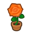 Animal Crossing orange-rose plant