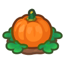 Animal Crossing ripe orange-pumpkin plant