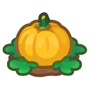 Animal Crossing ripe yellow-pumpkin plant