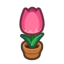 Animal Crossing pink-tulip plant