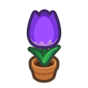 Animal Crossing purple-tulip plant