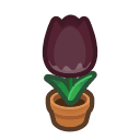 Animal Crossing black-tulip plant