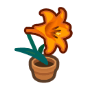 Animal Crossing orange-lily plant
