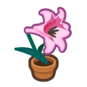 Animal Crossing pink-lily plant