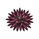 Animal Crossing sea urchin