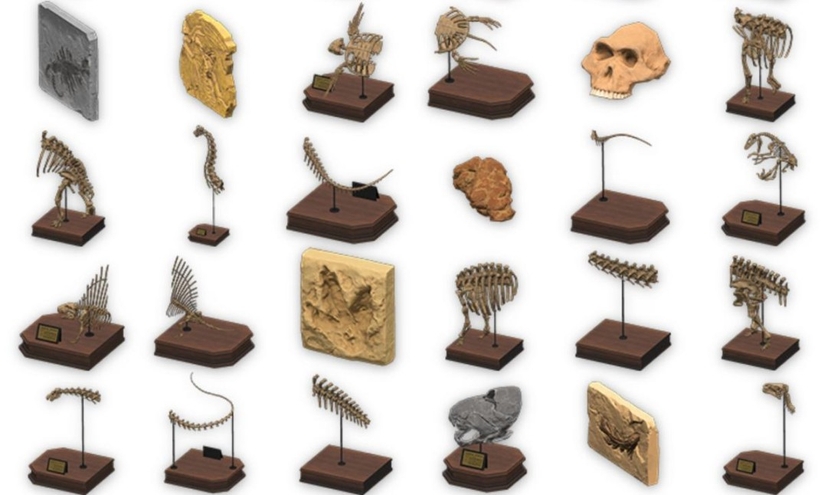 Animal Crossing All Fossils Set